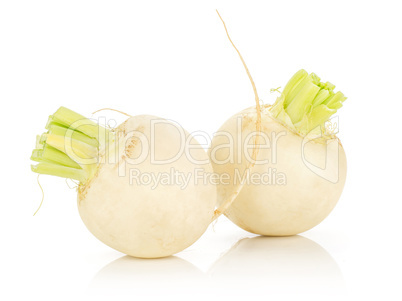 Fresh white radish isolated on white