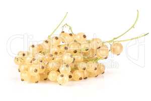 Fresh white currant berries  isolated on white