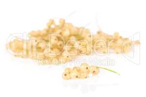 Fresh white currant berries  isolated on white