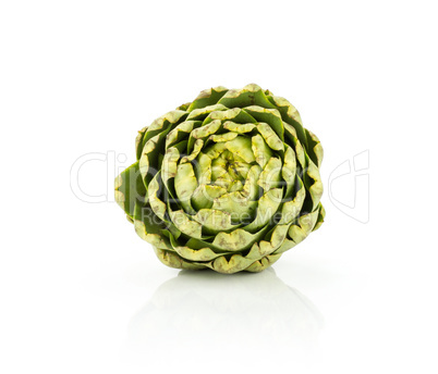 Fresh raw artichoke isolated on white