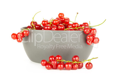 Fresh raw red currant isolated on white