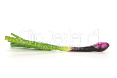 Fresh Raw green spring onion isolated on white