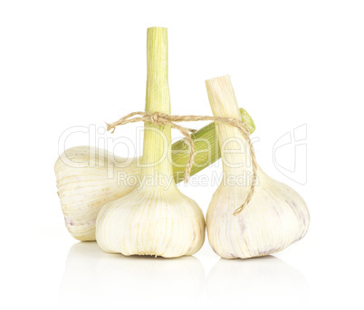 Fresh young garlic isolated on white