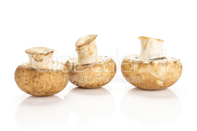 Fresh raw brown champignons isolated on white