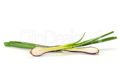 Fresh Raw green spring onion isolated on white