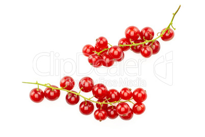 Fresh raw red currant isolated on white