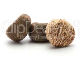 Raw edible Chestnut isolated on white