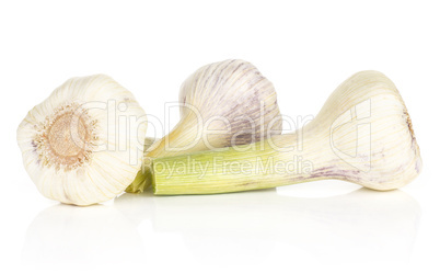 Fresh young garlic isolated on white