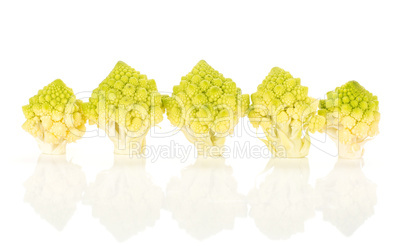 Fresh green romanesco cauliflower isolated on white