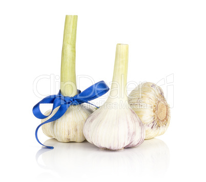 Fresh young garlic isolated on white