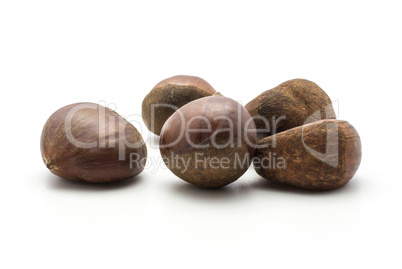 Raw edible Chestnut isolated on white