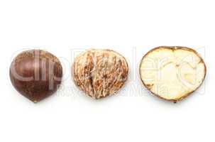 Raw edible Chestnut isolated on white