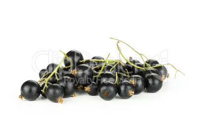 Fresh Raw Black Currant berry isolated on white