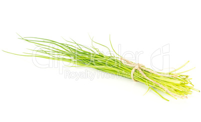 Fresh Raw Chives isolated on white