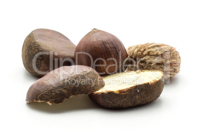 Raw edible Chestnut isolated on white