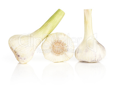 Fresh young garlic isolated on white