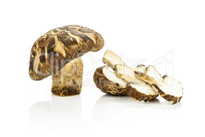 Fresh raw shitake mushroom isolated on white