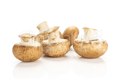 Fresh raw brown champignons isolated on white