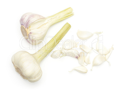 Fresh young garlic isolated on white