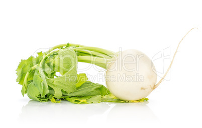 Fresh white radish isolated on white