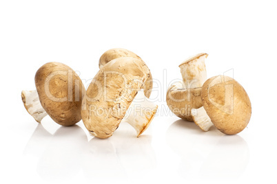 Fresh raw brown champignons isolated on white