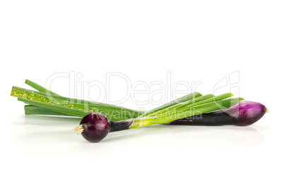 Fresh Raw green spring onion isolated on white