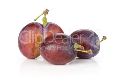 Fresh Raw vibrant plums isolated on white