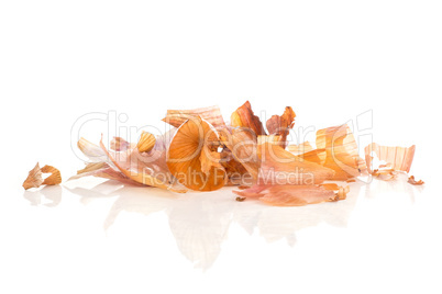 Fresh raw long shallot onion isolated on white