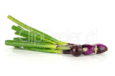 Fresh Raw green spring onion isolated on white