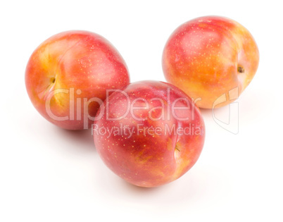 Fresh Red Plum isolated on white