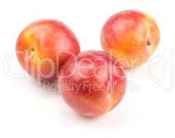 Fresh Red Plum isolated on white