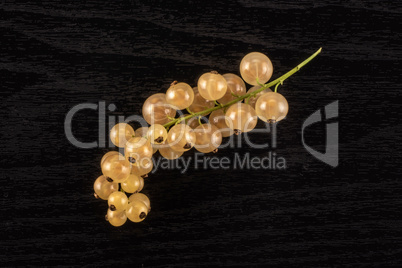 Fresh white currant berries on black wood