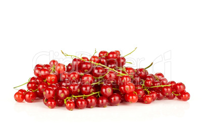 Fresh raw red currant isolated on white