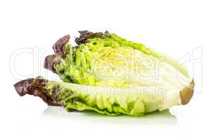 Fresh raw lettuce red little gem isolated on white