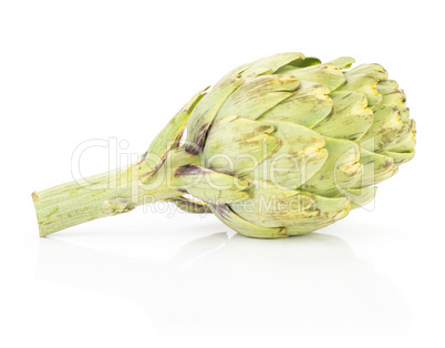 Fresh raw artichoke isolated on white