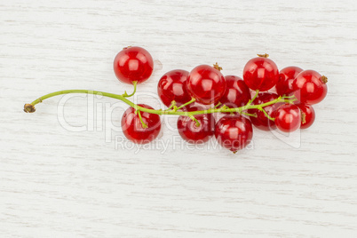 Fresh raw red currant on grey wood