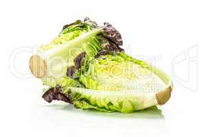 Fresh raw lettuce red little gem isolated on white