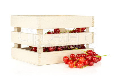 Fresh raw red currant isolated on white