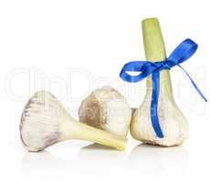 Fresh young garlic isolated on white