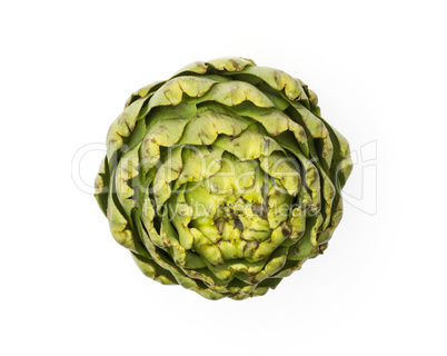 Fresh raw artichoke isolated on white