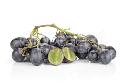 Fresh Black Wine Grapes isolated on white