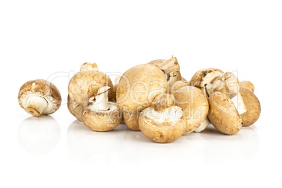 Fresh raw brown champignons isolated on white