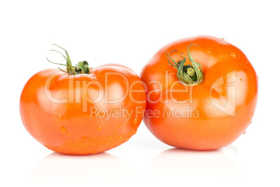 Fresh raw Tomato (La Parcela variety) isolated on white