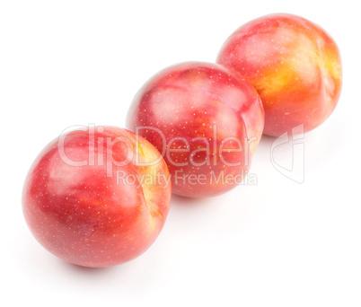 Fresh Red Plum isolated on white