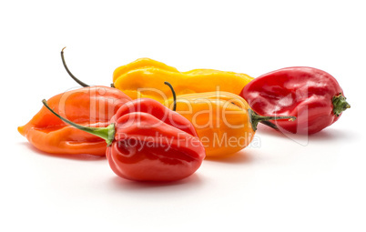 Habanero chili five red orange yellow hot peppers stack isolated