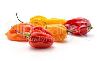 Habanero chili five red orange yellow hot peppers stack isolated