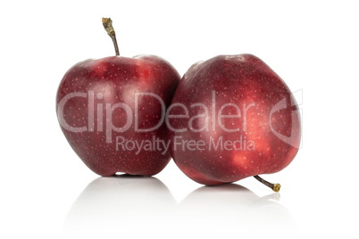 Fresh raw apple red delicious isolated on white