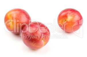 Fresh Red Plum isolated on white