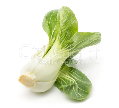 Fresh Bok choy isolated on white