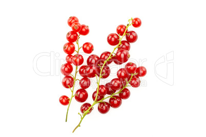 Fresh raw red currant isolated on white